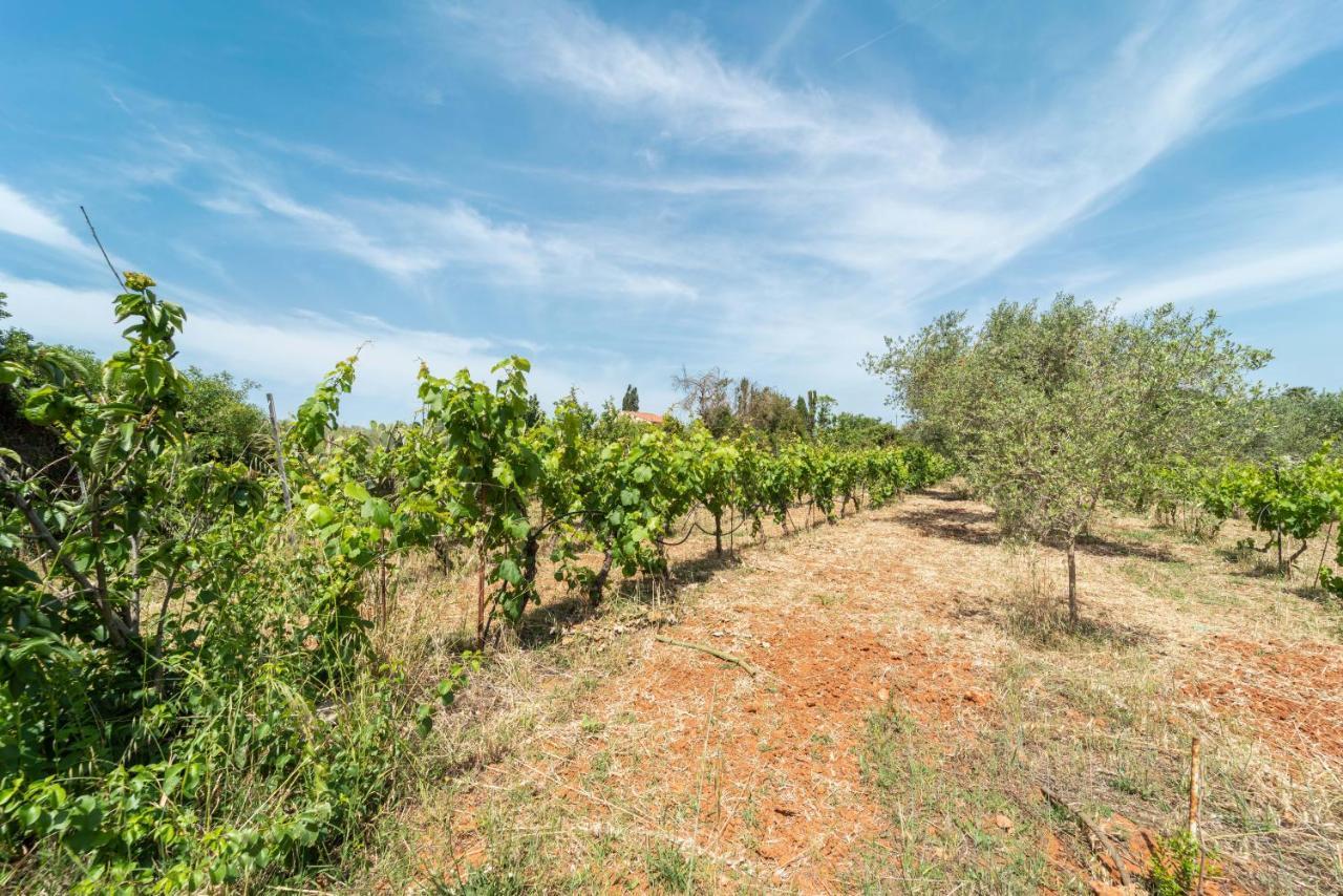 Villa Be Alghero Exterior photo